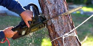 Best Lawn Irrigation Installation and Maintenance  in , HI