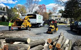 Best Lawn Maintenance Plans  in , HI